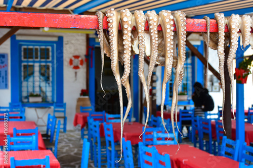 Bild auf Leinwand Traditional greek food Octopus drying in the sun in the village