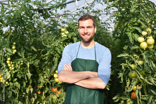 Fotografie, Obraz erfolgreicher Bauer im Gewächshaus mit Tomatenpflanzen // successful farmer in a