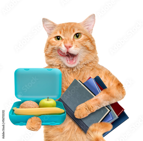 Fototapeta Naklejka Na Ścianę i Meble -  Cat with books and school lunch box. Isolated on white. 