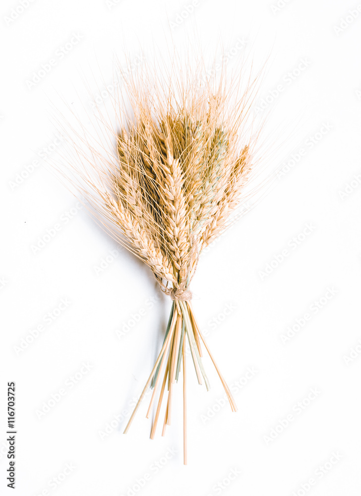 Obraz premium Wheat ears isolated on white background