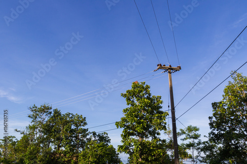 electric wire on the post