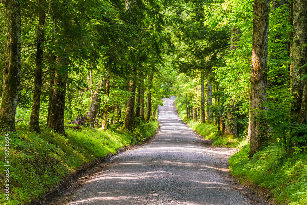 Old Country Road in the Great Smoky Mountains National Park, USA.