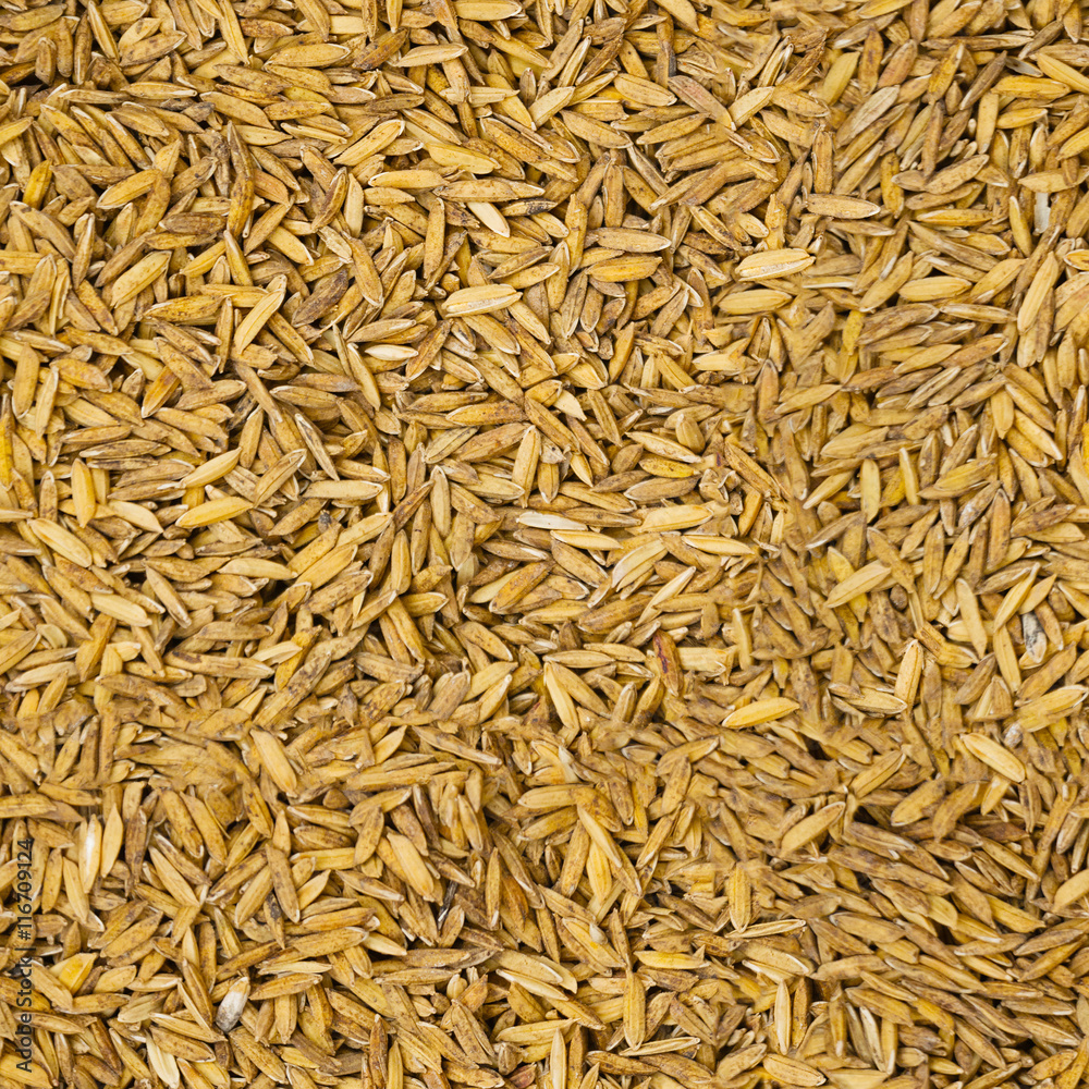 Rice seamless grunge pattern - natural background