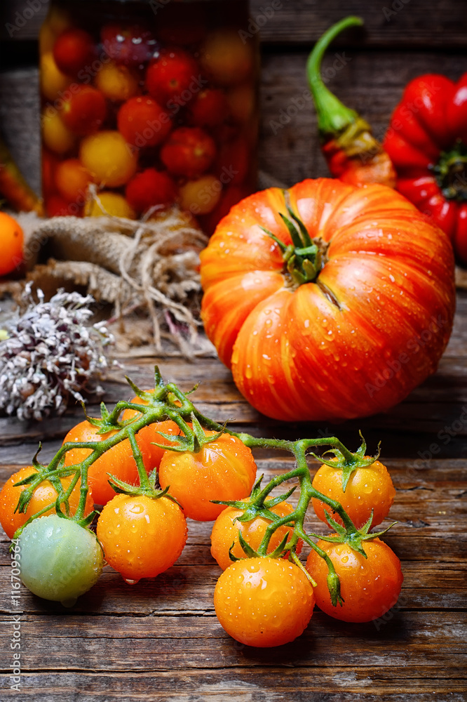 harvest summer tomatoes