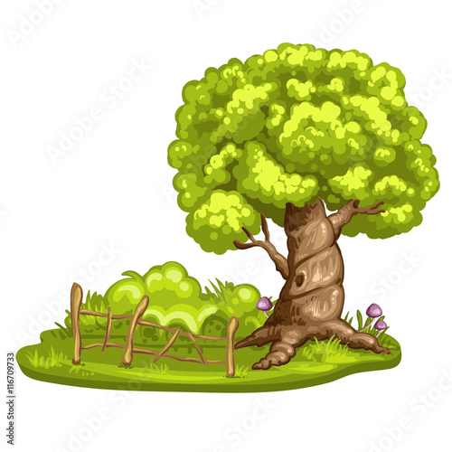 Green glade with tree on white background