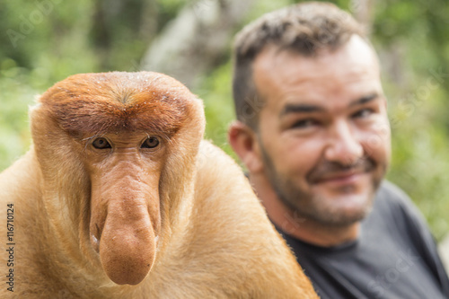 Looking the proboscis monkey in Borneo photo