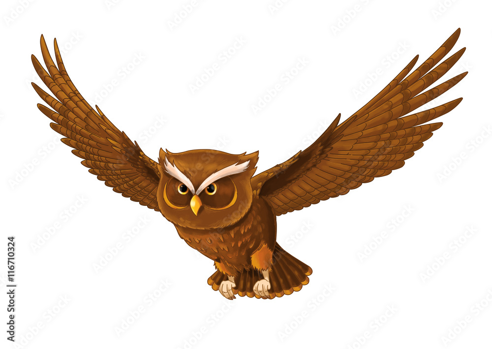 Obraz premium Cartoon bird - owl flying - isolated - illustration for children