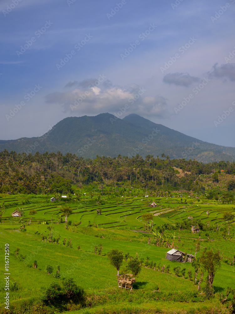 Mountain over Southeast Asian Agricultural Fields
