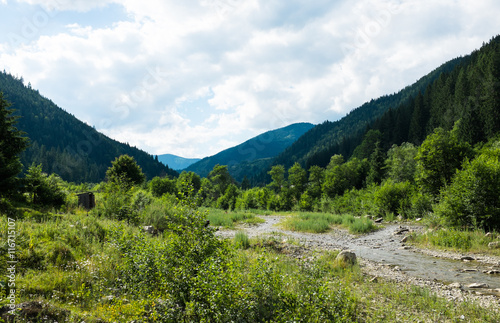Landscapes of the Carpathian Mountains, natural green forest