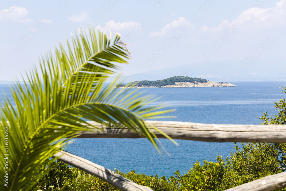 view on a small island across the palm tree leaves, Greece