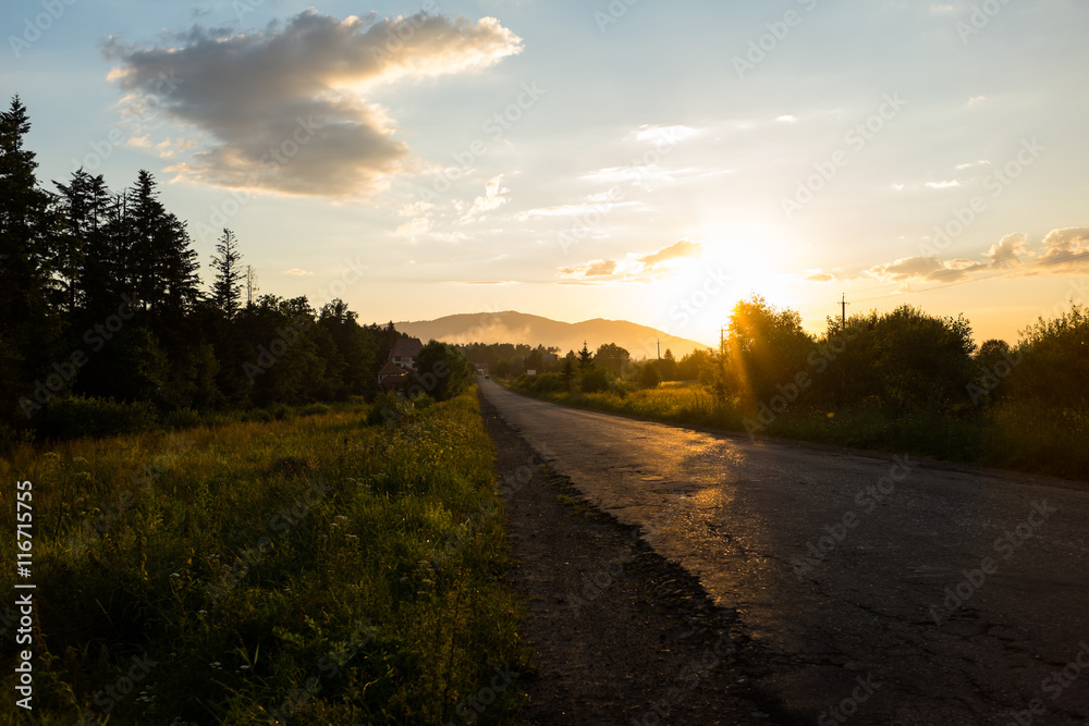 Country road in the rays of the setting sun