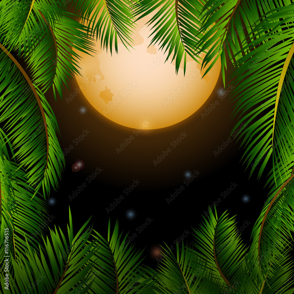Big tropical moon and palm trees background Big tropical moon and palm trees background