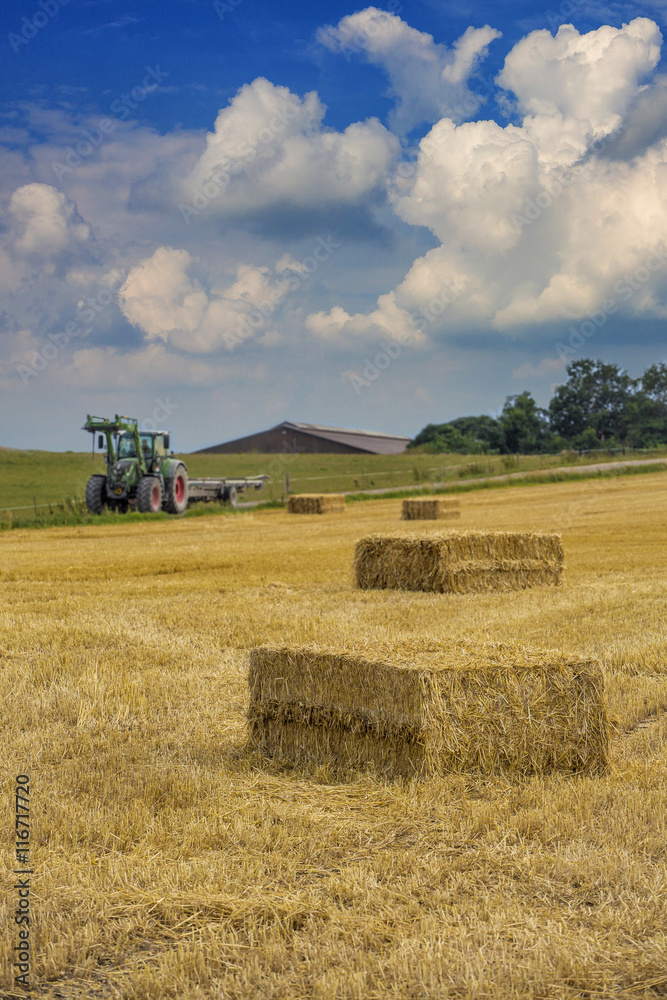 Fototapeta premium Erntezeit