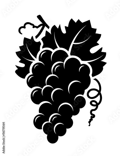 grapes branch icon
