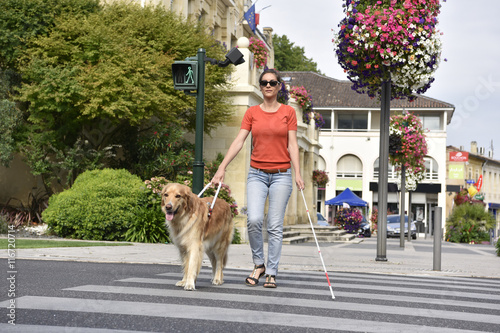Fototapet Blind woman crossing the street with help of guide dog