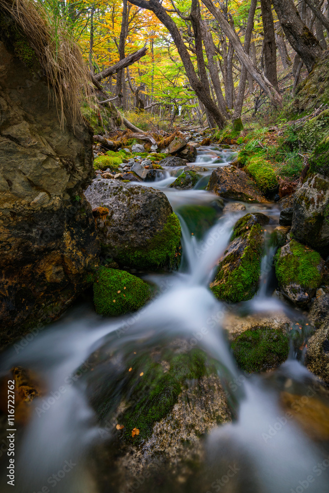 Slow exposure, river flowing in forest, argentina Slow exposure, river flowing in forest, argentina