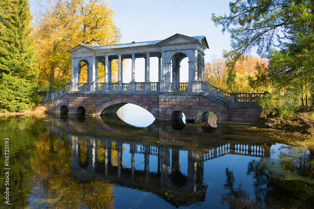 Marble bridge, golden autumn. Catherine Park of Tsarskoye Selo