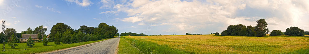 Panoramic countryside wide view of road with trees and village behind. Rural summer landscape. Typical european pastoral field, meadow, pasture. Illustration of agriculture.