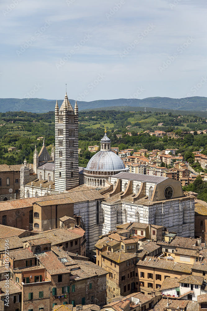 Naklejka premium Siena Cathedral