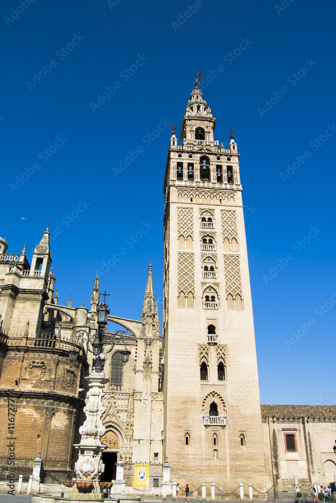 Seville Cathedral with the Giralda Tower in Seville called, Spai
