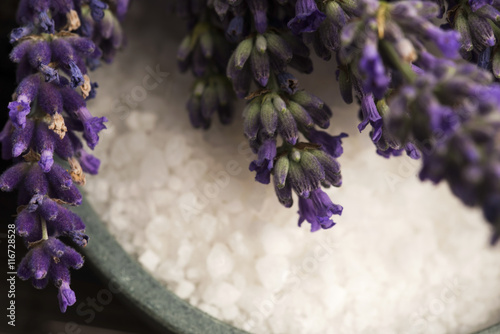 Quadro su tela lavender spa
