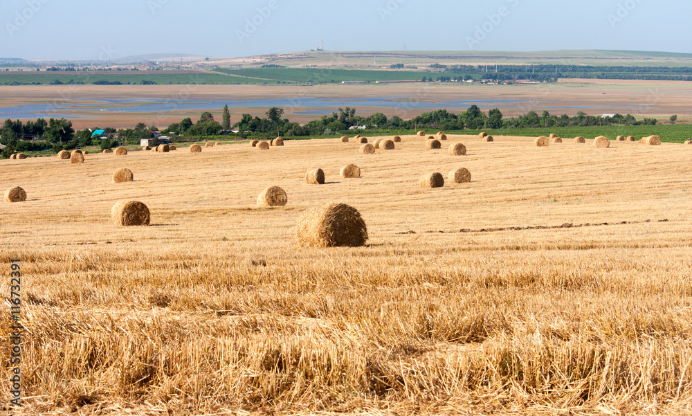 Summer Field with Hay Bales as background