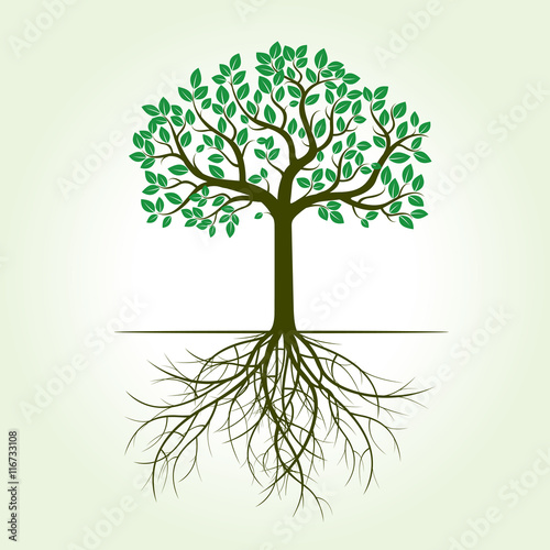Green Tree and Leafs. Vector Illustration.