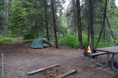 Recreation. A campsite with a tent, a table and an inviting orange campfire in the fire pit in an old-growth forest.