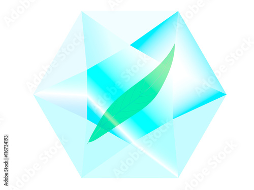 leaf inside a diamond