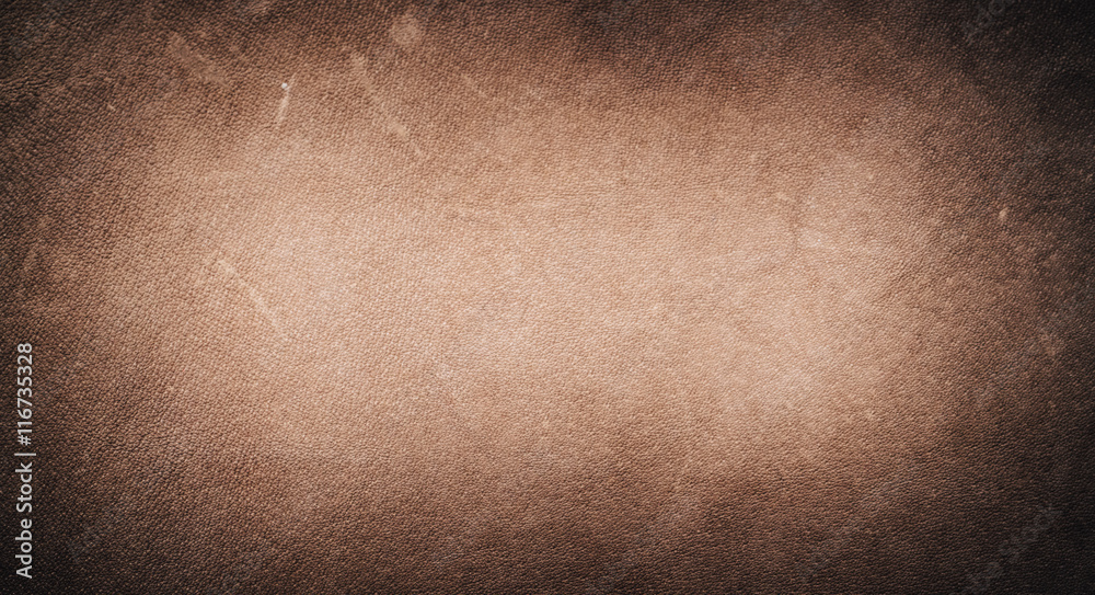 Fototapeta premium skin texture