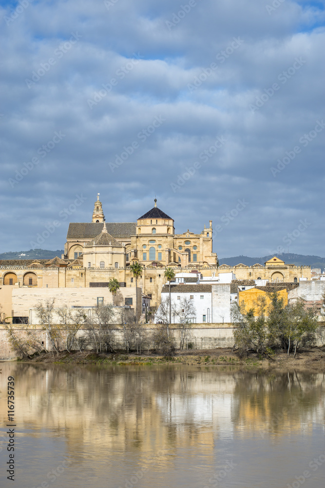 Panoramic view of ancient centre of Cordoba, Mosque-Cathedral. Andalusia. Spain.
