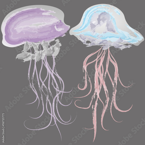Vector illustration of two watercolor jellyfish
Image of two delicate watercolor jellyfish on a black background for decoration and design
