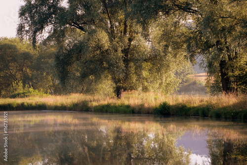 Morgennebel am Teich, stimmungsvoller Sommermorgen am See