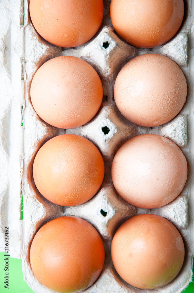 The image of eggs on a green background The image of eggs on a green background