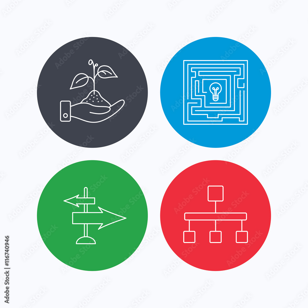 Hierarchy, save nature and direction arrow icon. Hierarchy, save nature and direction arrow icon.