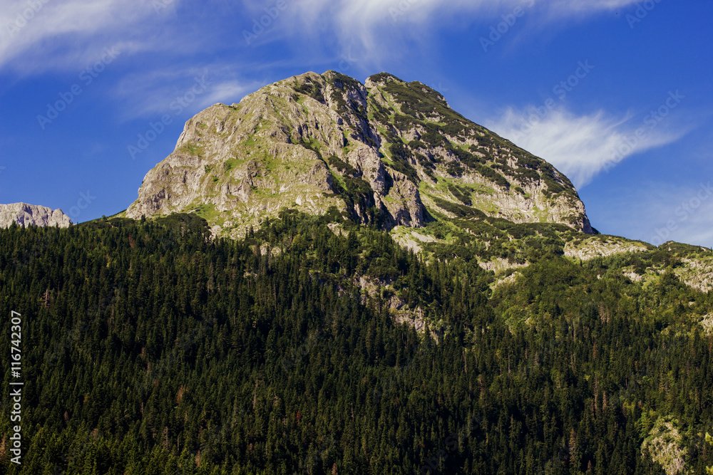 Nature Mountain Landscape Montenegro Nature Mountain Landscape Montenegro