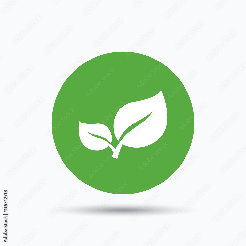 Leaf icon. Fresh organic product sign. Leaf icon. Fresh organic product sign.