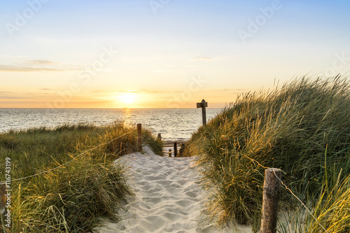 Fototapeta Naklejka Na Ścianę i Meble -  Dünen am Strand