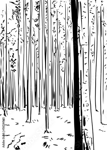 Outlined forest background with tall trees
