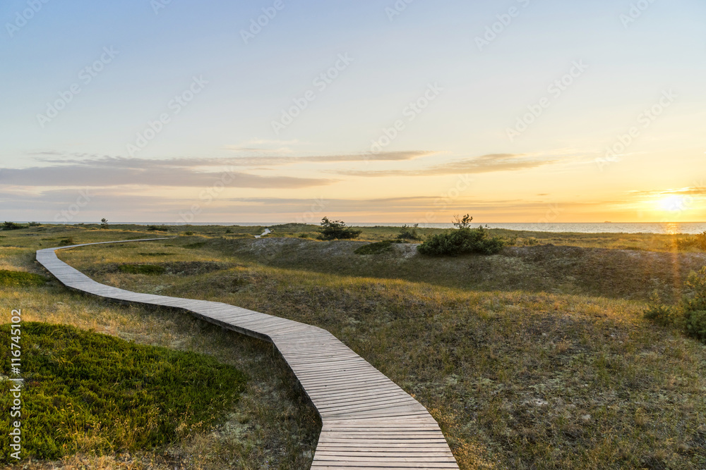 Fototapeta premium Wandern auf dem Darß