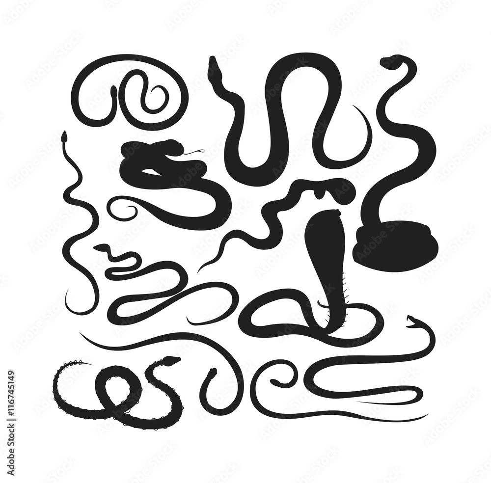 Snake reptile vector Snake reptile vector
