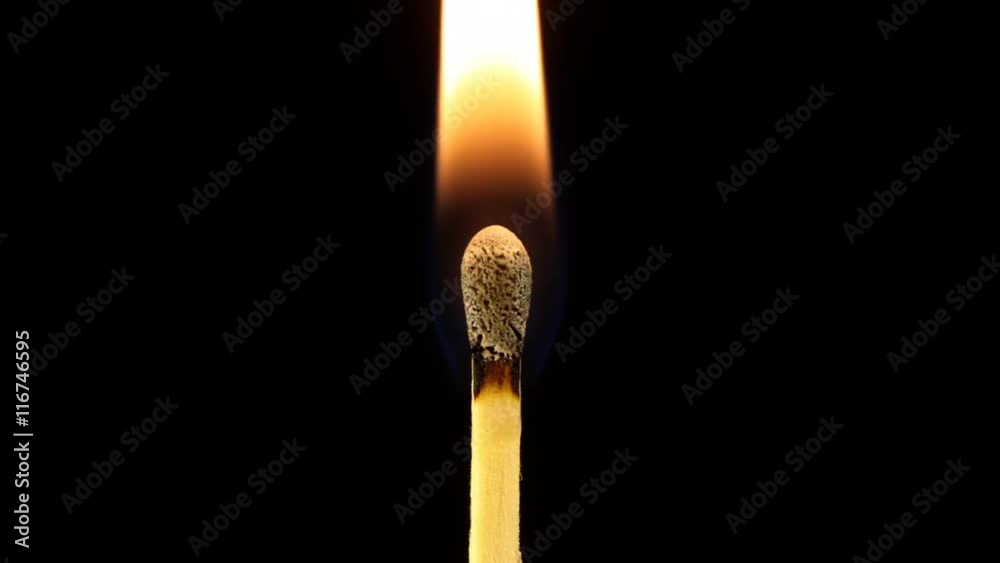 Slow motion macro shot of wooden match igniting. Slow motion macro shot of wooden match igniting.
