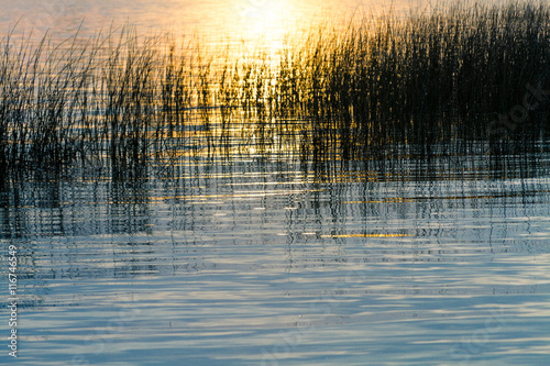 Sun at sunset with reflections on a lake with reeds