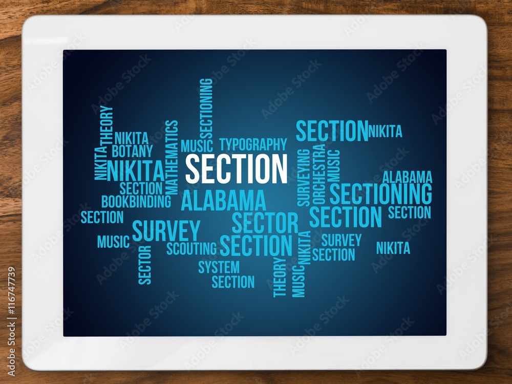 section section