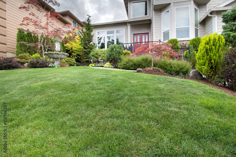 Green Grass Lawn in Manicured Frontyard Garden Green Grass Lawn in Manicured Frontyard Garden