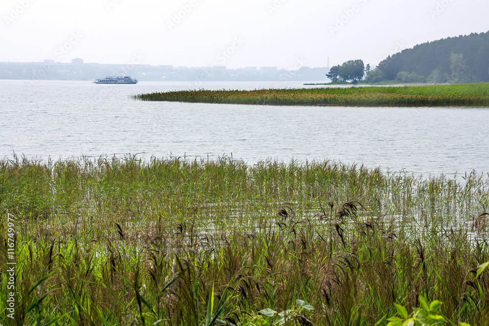 Summer landscape in the Siberian river Berd Summer landscape in the Siberian river Berd