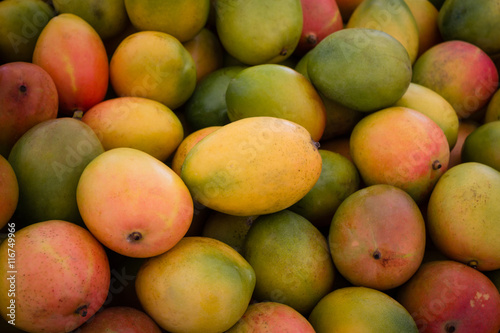Fotografiet pile of fresh mango fruits
