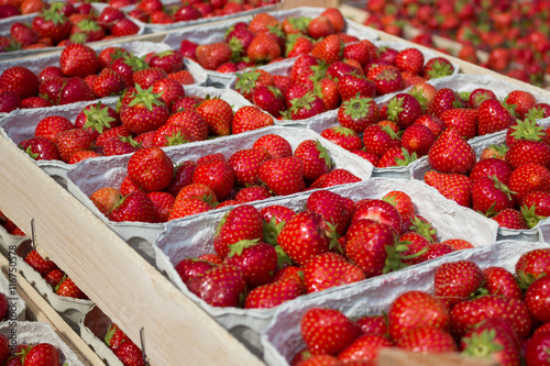 strawberries in boxes - strawberry fruits in box