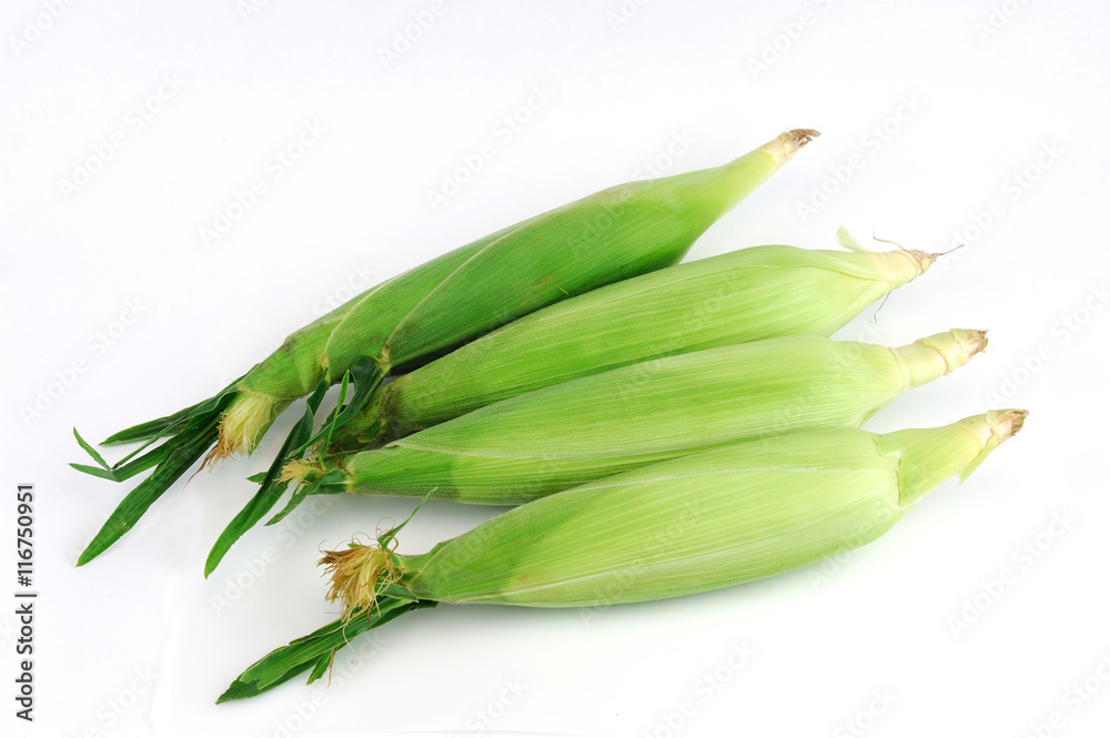 Naklejka premium fresh raw corn cob with husk on white background