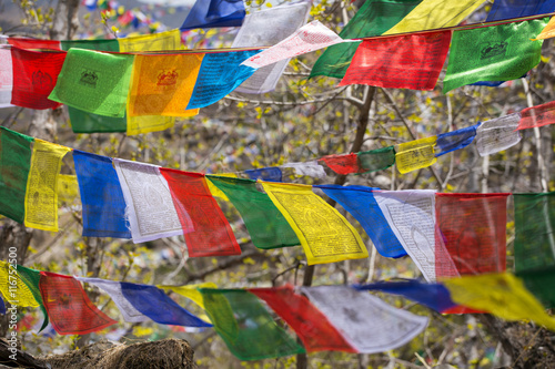 Buddhist praying flags in Nepal